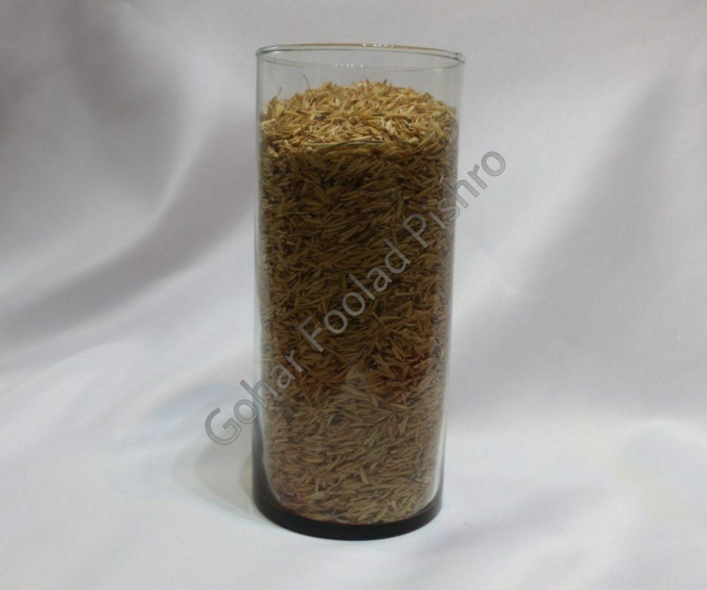 سبوس خام ویرایش گوگل